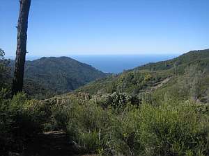 Silver Peak Lion Den Vista.